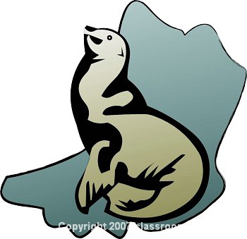 350x339 Sea Lion Clipart Clipart Panda