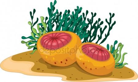 450x268 Sea Plants Clipart