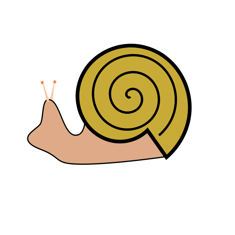 Sea Snail Clipart at GetDrawings | Free download