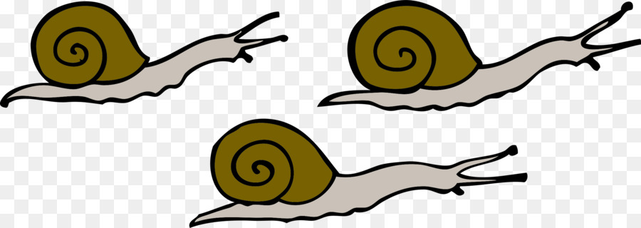 900x320 Snail Clip Art