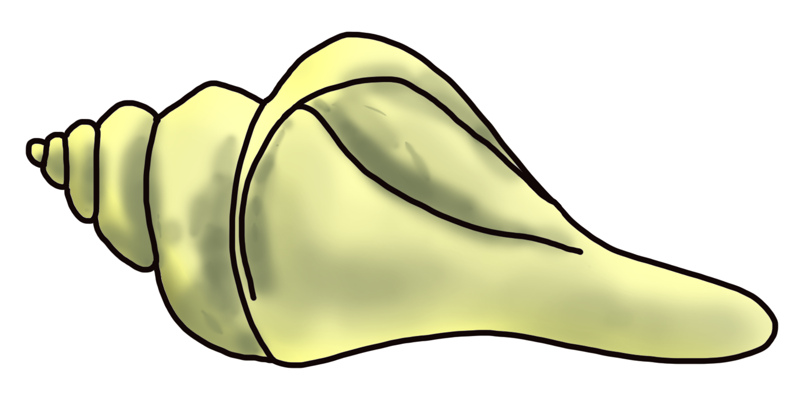 1566x768 Cartoon Sea Snail Clip Art