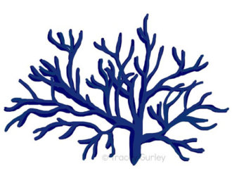 340x270 Coral And Blue Clipart
