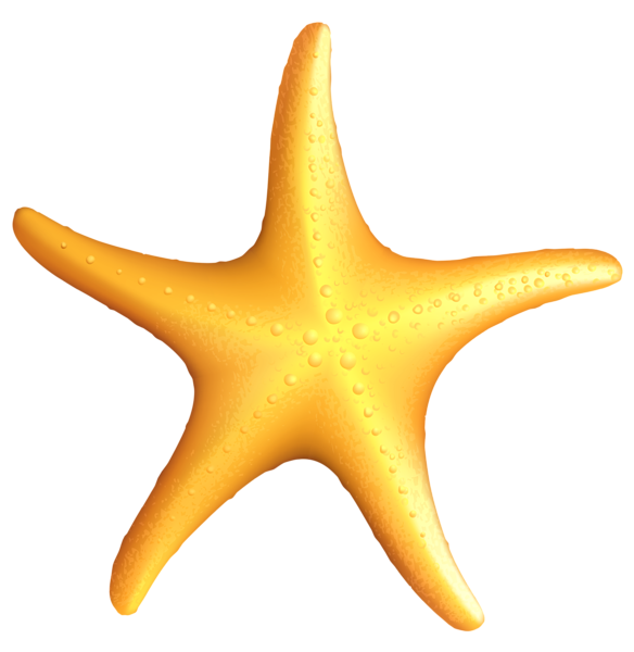 584x600 Pin By Marina On Mar Iii Starfish, Clip Art