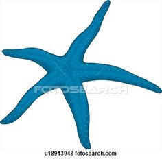 236x232 Sea Star Clipart