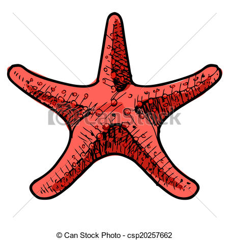 450x470 Sea Star Isolated On White. Sketch Vector Illustration.