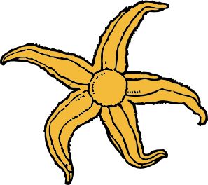 297x264 Starfish Clip Art