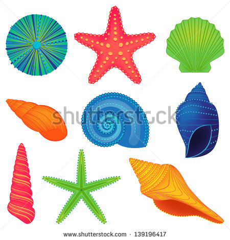 450x470 Starfish Clipart Colorful Shell