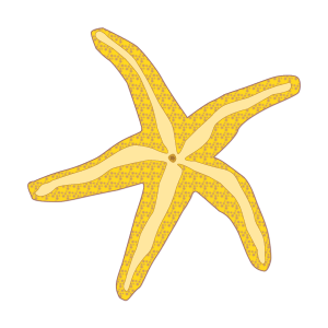 300x300 Starfish Art Ocean Life Clip Art Downloads Clip Art Beach Clip