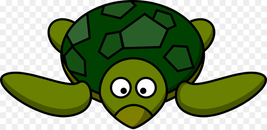 900x440 Green Sea Turtle Cartoon Clip Art