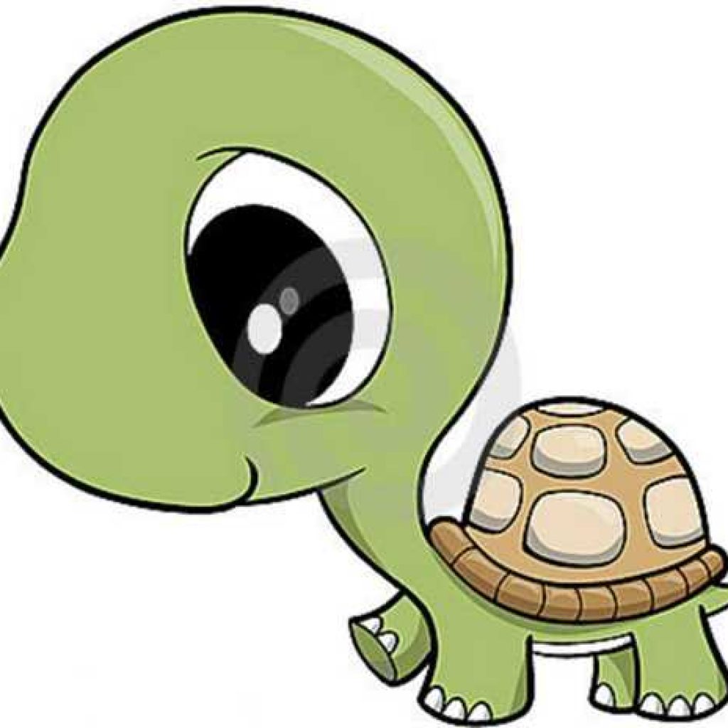 1024x1024 Turtle Clipart Clipart