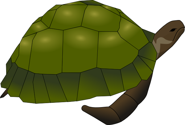 600x405 Turtle Clip Art Free Vector 4vector