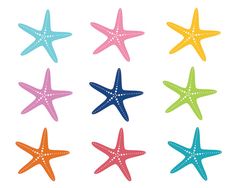 236x188 Starfish And Sea Urchins Collection On Sand Background. Vector