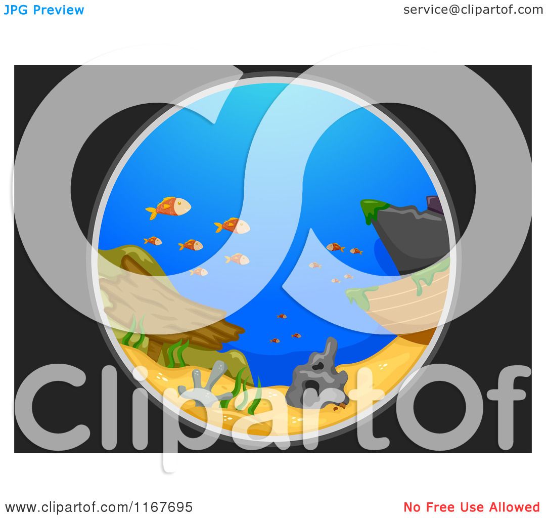 1080x1024 Cartoon Of A Telescopic View Of A Shipwreck And Fish In The Sea