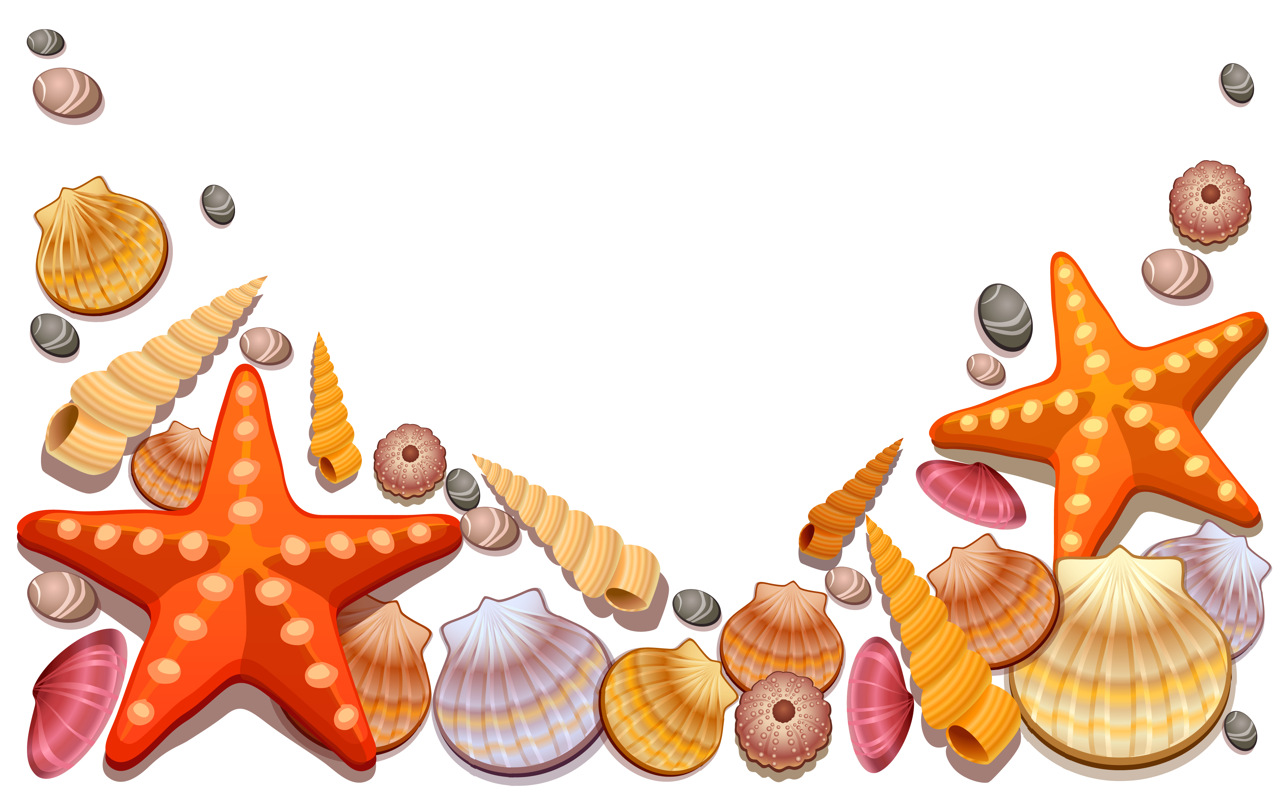 4242x2645 Sea Shells Decor Png Vector Clipart Transparentes Sommer