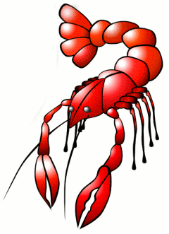 240x331 Free Seafood Clipart