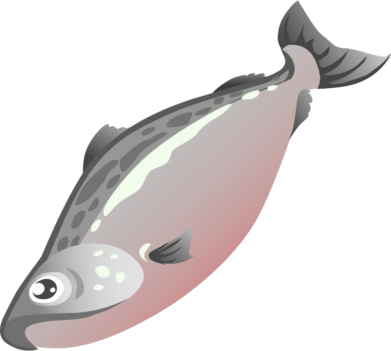 800x720 Salmon Clipart