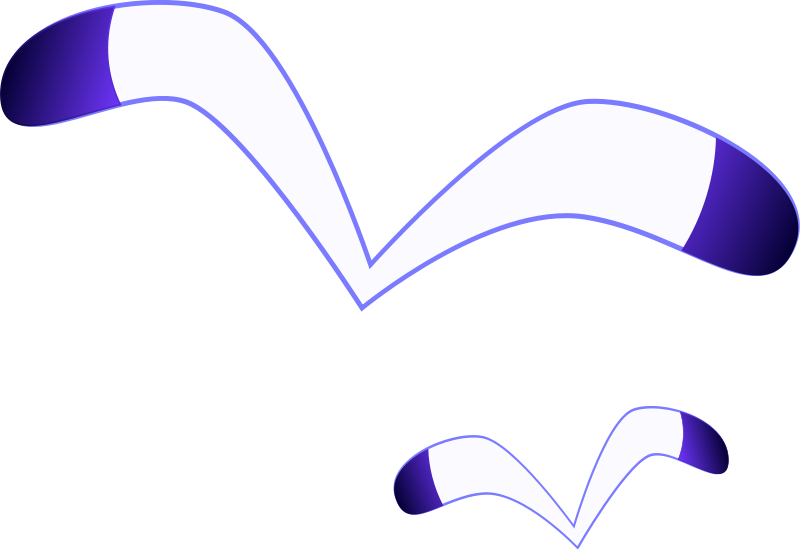 800x549 Free Clipart Seagulls Yyycatch