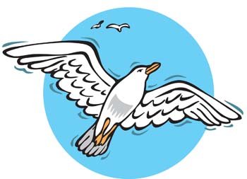 350x253 Free Seagull Vector 8 Psd Files, Vectors Amp Graphics