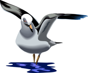 298x249 Landing Seagull Clip Art