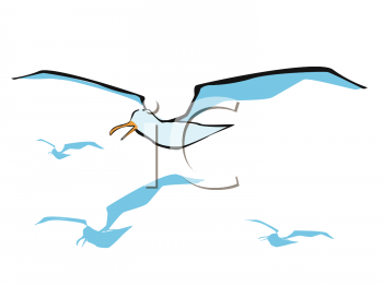 350x262 Royalty Free Seagull Clip Art, Bird Clipart