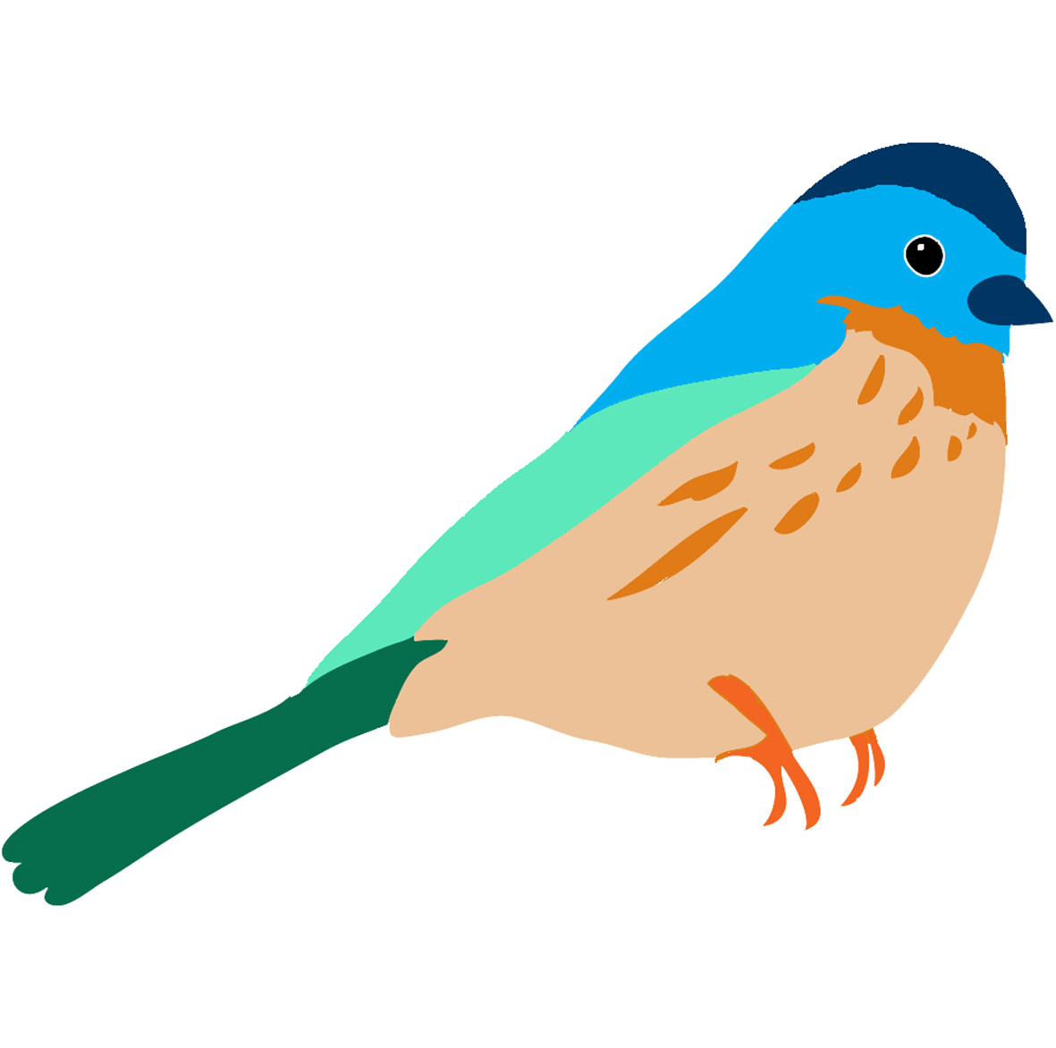 1181x1172 Seagull Clip Art Funny Cool Clipart Panda