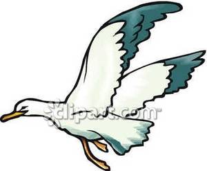 300x247 Seagull Clipart Clipart Panda