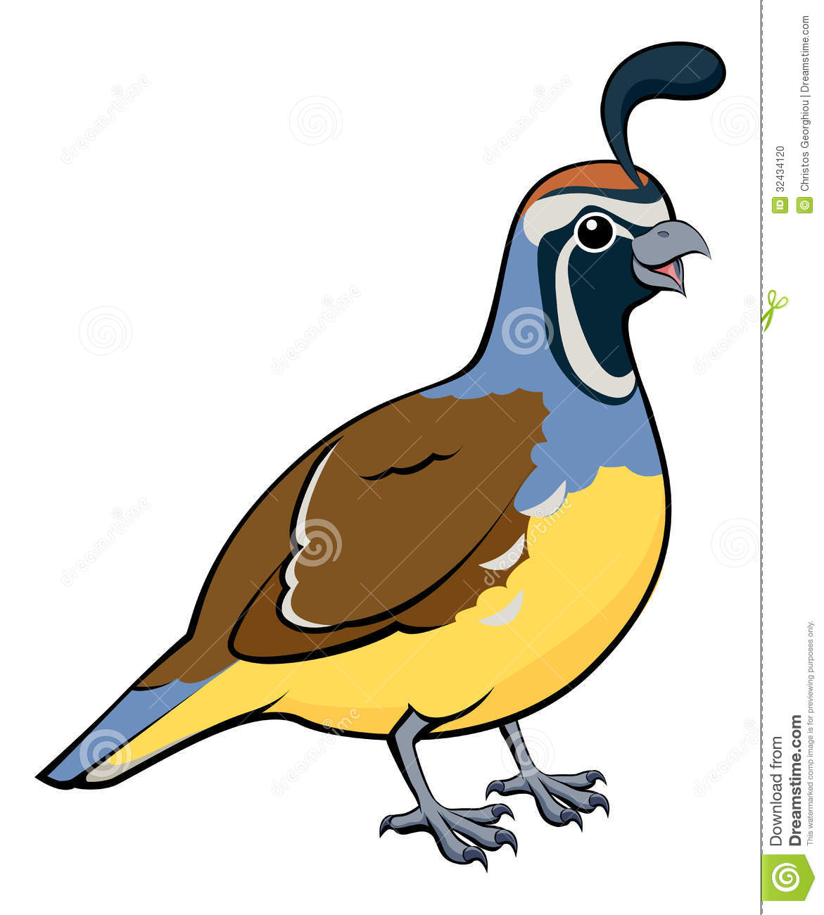 1171x1300 California Gull Clipart