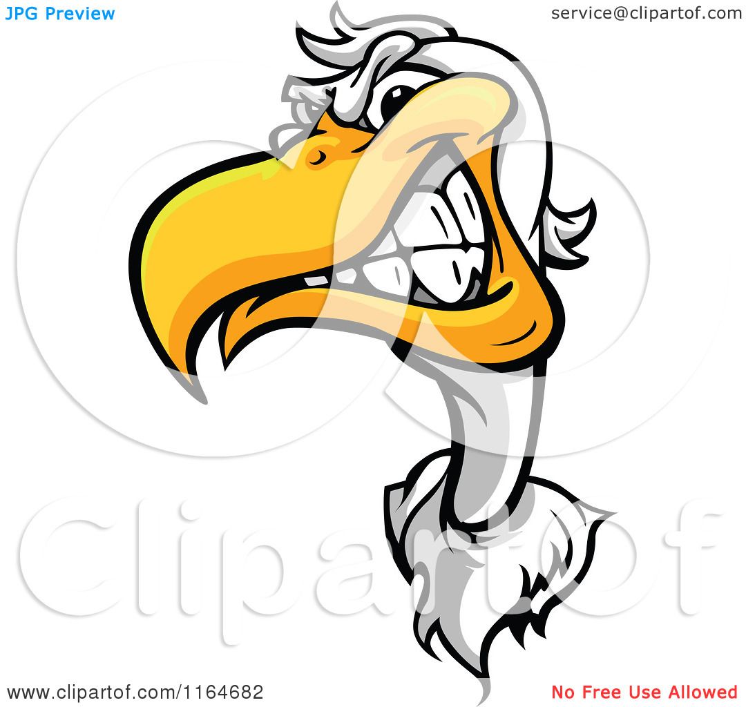 1080x1024 Cartoon Of An Aggressive Seagull Mascot