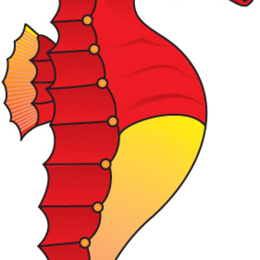 1024x1024 Seahorse Clipart Balloon Clipart