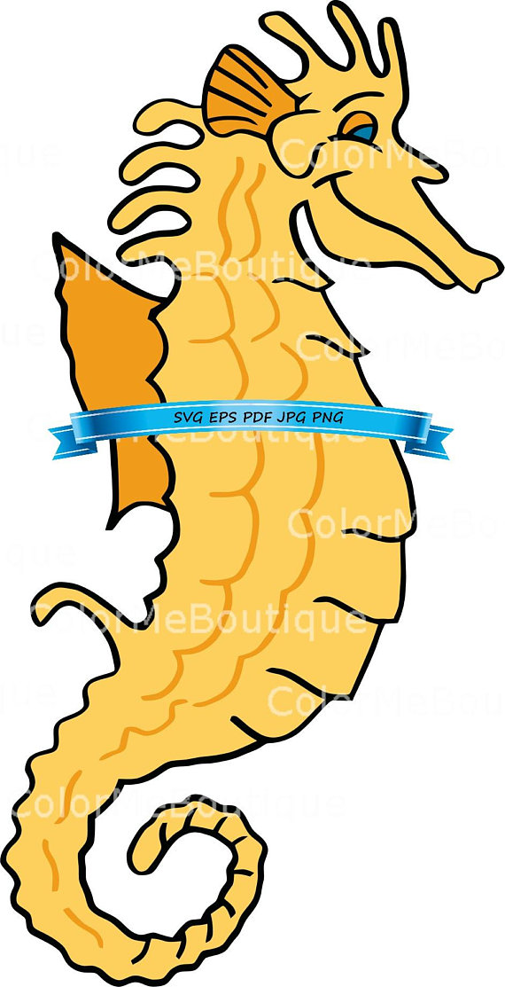 570x1113 Seahorse Clipart