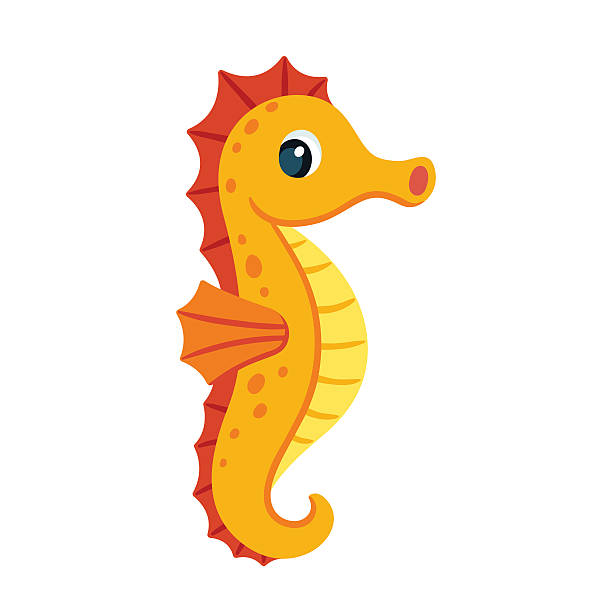 612x612 Seahorse Clip Art
