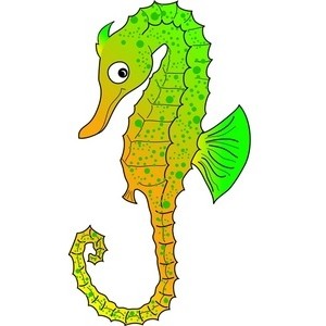 300x300 Image Of Sea Horse Clip Art