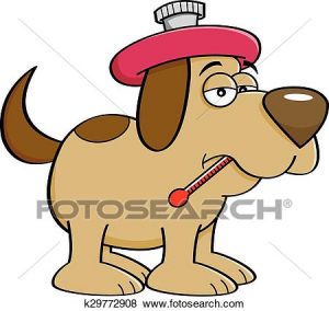 300x284 Sicknimal Clipart Cliprt Of Cartoon Sick Dog