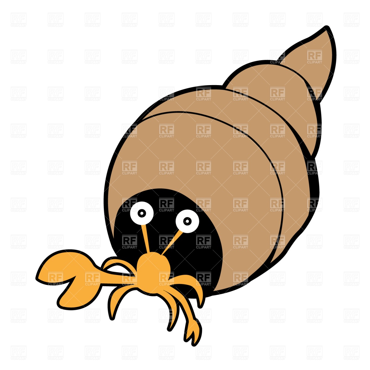 1200x1200 Crab In Seashell Royalty Free Vector Clip Art Image