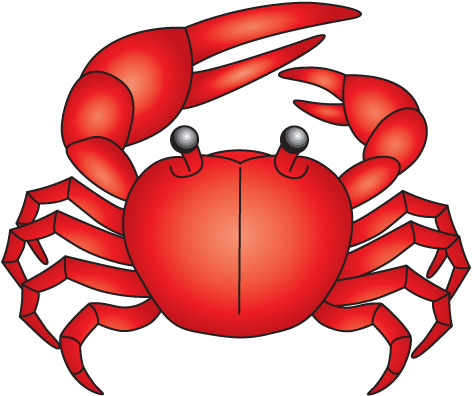 473x396 Crab Seashell Clipart, Explore Pictures