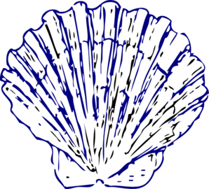 298x270 Sea Shell 2 Clip Art