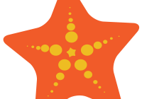 200x140 Sea Shells Clip Art Watercolor Clipart Under The Coloring