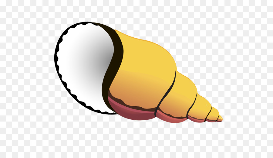 900x520 Seashell Conch Clip Art