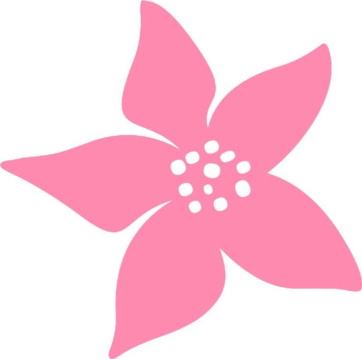 736x730 Shell Clip Art Little Mermaid