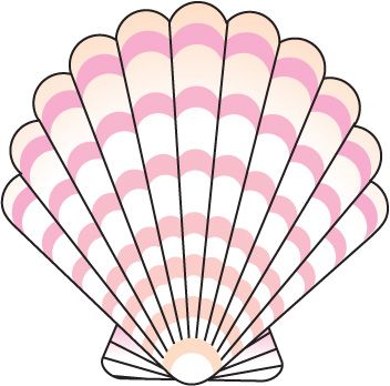 352x348 Shells Clipart Group