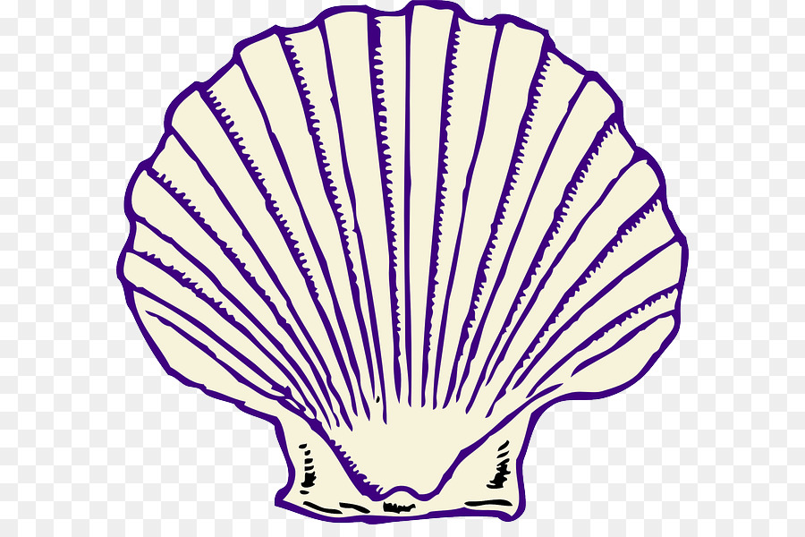 900x600 Clam Seashell Clip Art