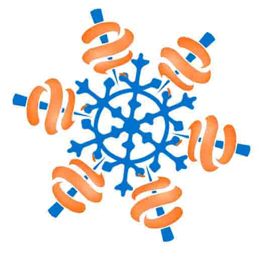 519x505 Seasons Greetings