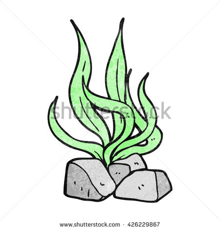 Seaweed Clipart