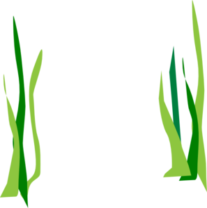 297x299 Green Reeds Clip Art