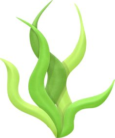 236x283 Ocean Seaweed.jpg