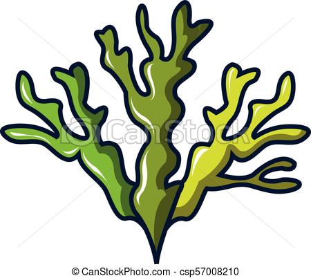 Seaweed Clipart at GetDrawings | Free download