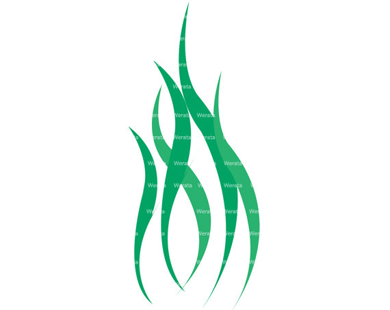 570x453 Seaweed Clip Art Digital Clipart Panda