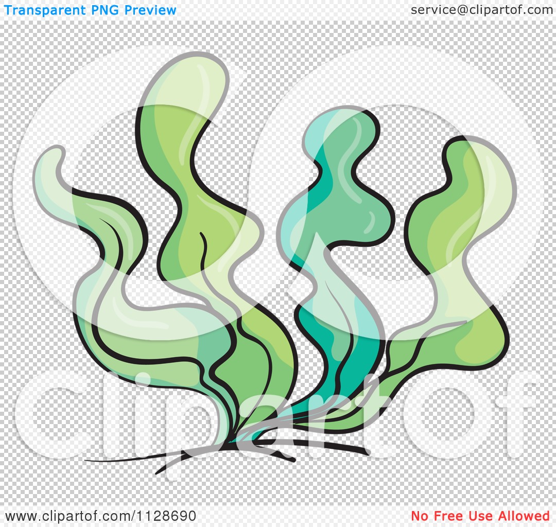 1080x1024 Clip Art Seaweed Clip Art