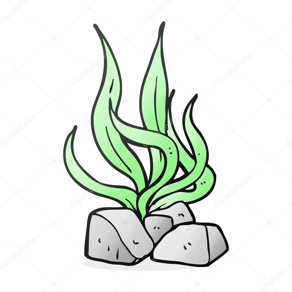 1024x1024 Drawn Seaweed Cartoon Free Collection Download And Share Drawn