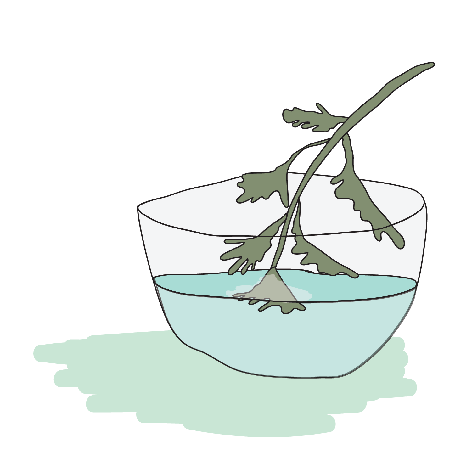 1500x1500 Dip Parsley In Saltwater Make Your Own Passover Haggadah